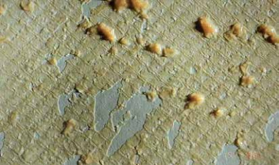 哪些操作参数的改变表示陶氏RO膜已被微生物污染? 哪些操作参数的改变表示陶氏RO膜已被微生物污染?